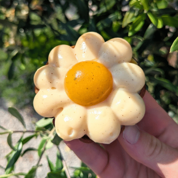 Recette Tartelette Abricot